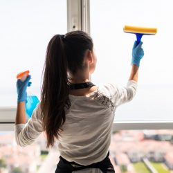 window washing services